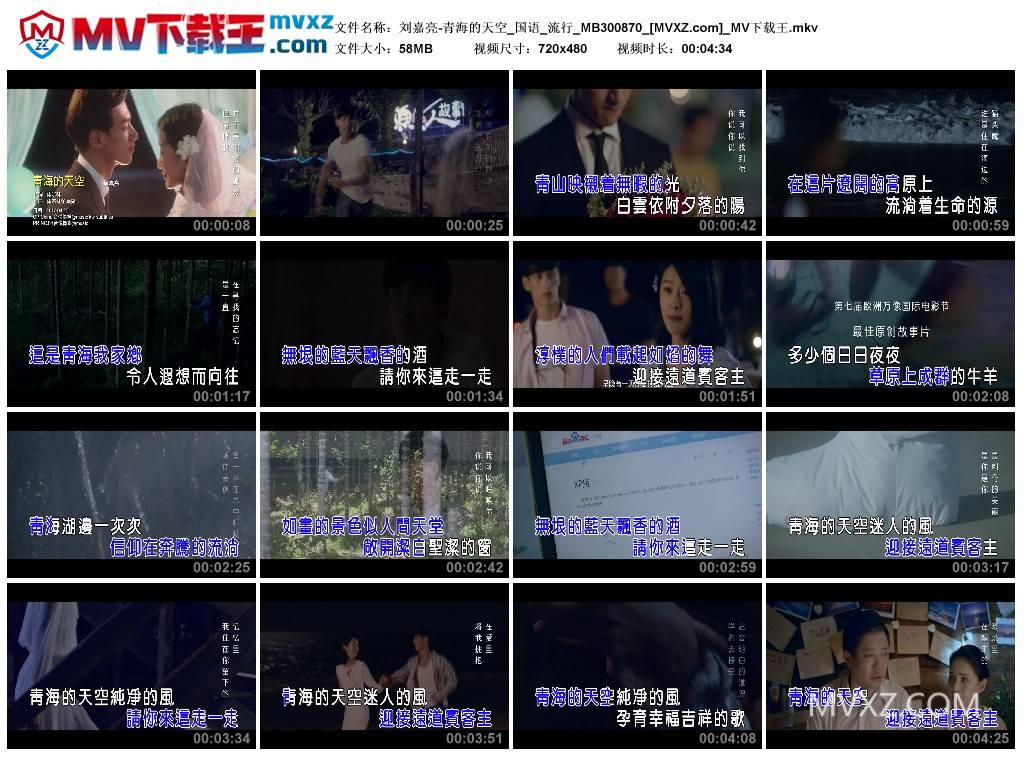 刘嘉亮-青海的天空_国语_流行_MB300870